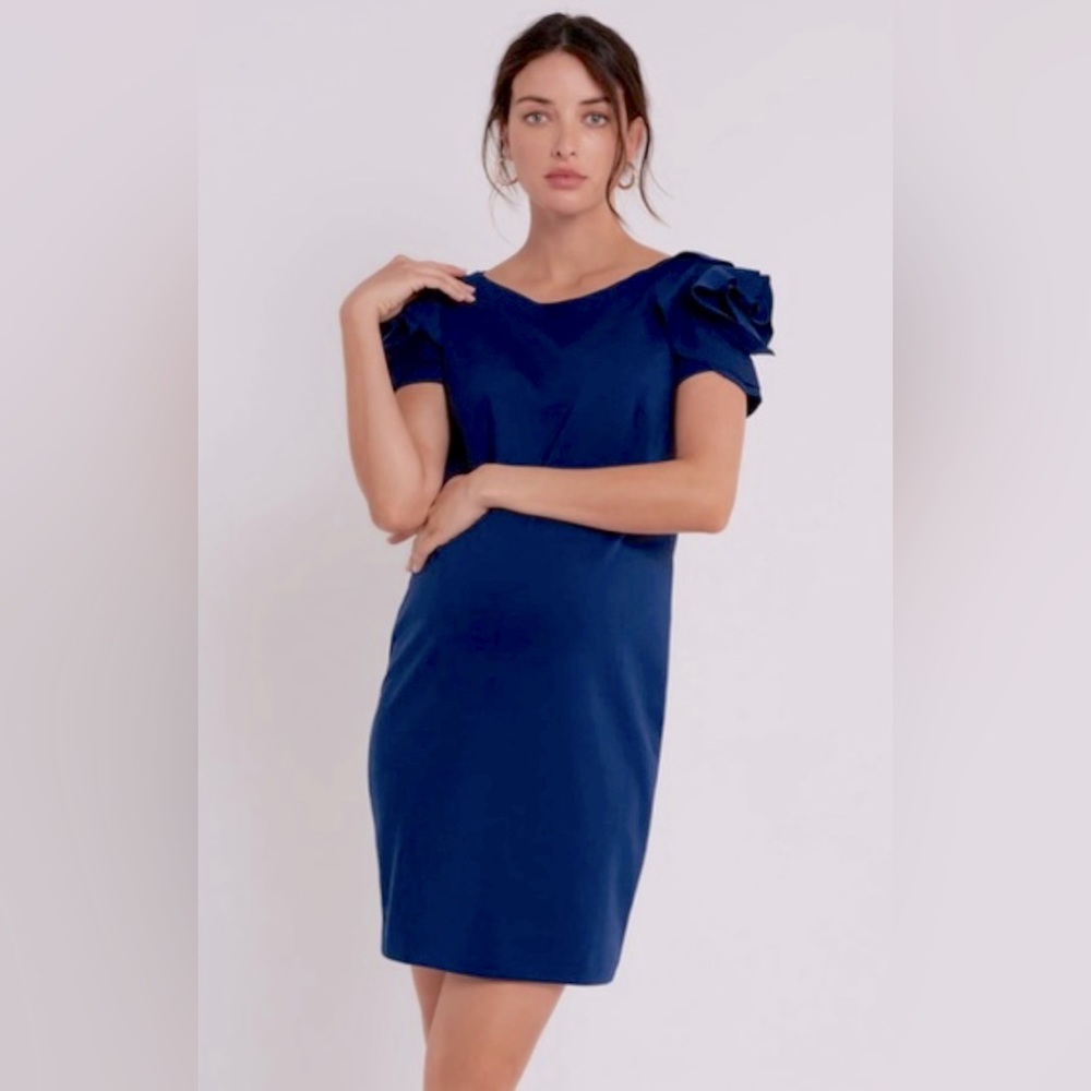 Maternity PIETRO BRUNELLI Salisburgo Maternity Dress in Cobalt Blue